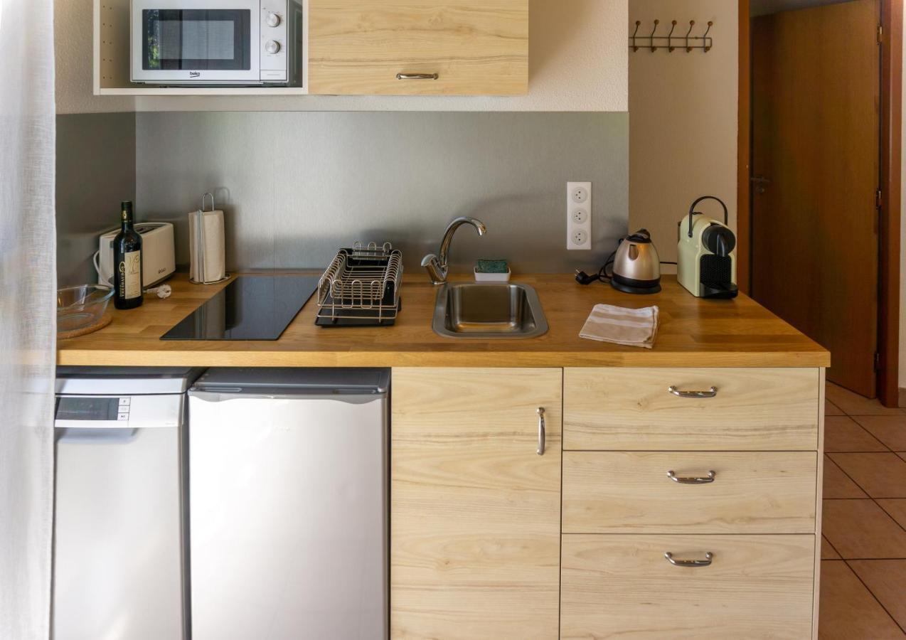 "La Combe Fleurie" Appartements & Chambres Saint-Bonnet-en-Champsaur Εξωτερικό φωτογραφία