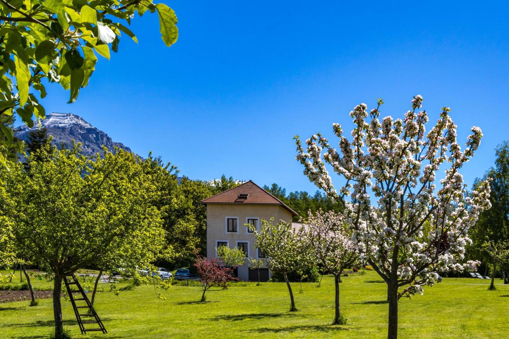 "La Combe Fleurie" Appartements & Chambres Saint-Bonnet-en-Champsaur Εξωτερικό φωτογραφία